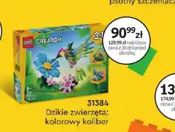 Empik Klocki LEGO 31384 Dzikie zwierzęta: kolorowy koliber oferta