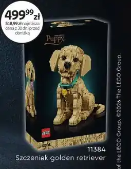 Empik Klocki LEGO 11384 Szczeniak golden retriever oferta
