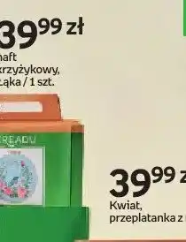 Empik Haft krzyżykowy Łąka CREADU oferta