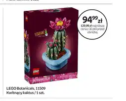 Empik Klocki LEGO Botanicals 11509 Kwitnący kaktus oferta