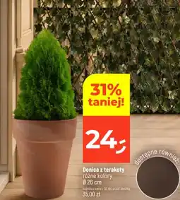 Dealz Donica z terakoty Ø 26cm oferta