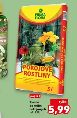 Kaufland Ziemia do roślin Prima flora oferta