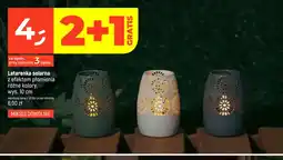 Dealz Latarenka solarna z efektem płomienia wys. 10cm oferta