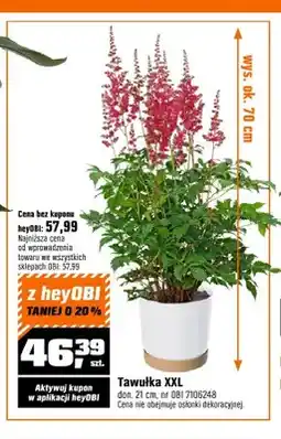 OBI Tawułka XXL don. 21cm oferta