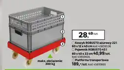 Leroy Merlin Koszyk ROBUSTO ażurowy 22l 60x12x40cm oferta