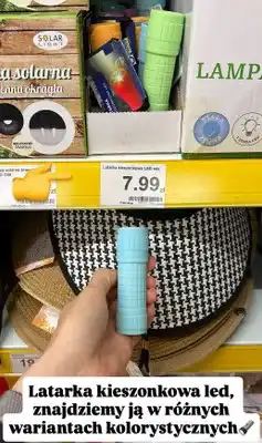 Dino Latarka kieszonkowa LED oferta