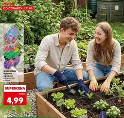 Kaufland Rękawice ogrodowe WORKMANN oferta