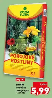 Kaufland Ziemia do roślin pokojowych PRIMA FLORA oferta