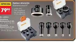 Biedronka Otwornica Niteo oferta