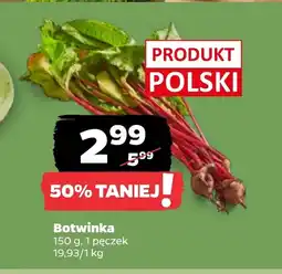 Netto Botwinka Polski oferta