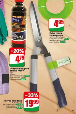Dino Nożyce ogrodowe oferta