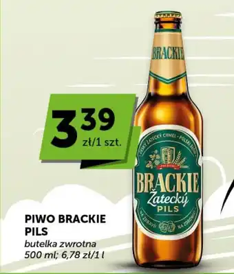 Groszek Piwo brackie pils oferta