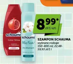 Groszek Szampon schauma oferta