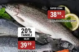 bi1 Pstrag jurajski patroszony oferta