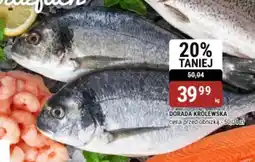 bi1 Dorada królewska oferta