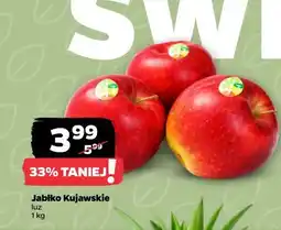 Netto Jabłko Kujawskie oferta
