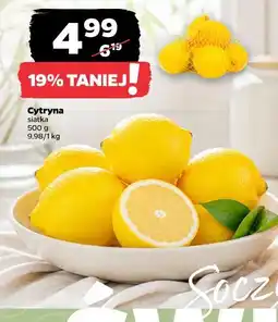 Netto Cytryna oferta