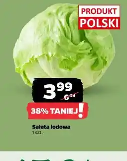 Netto Sałata lodowa 1 szt oferta