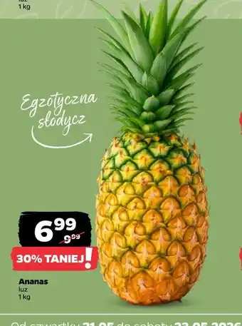 Netto Ananas oferta