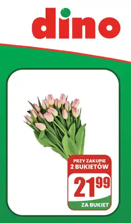 Dino Bukiety Tulipanów oferta