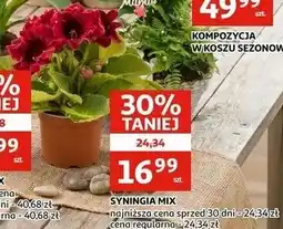 Auchan SYNINGIA MIX oferta