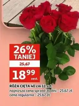 Auchan RÓŻA CIĘTA 40 cm 11 szt oferta