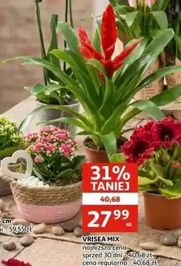 Auchan VRISEA MIX oferta