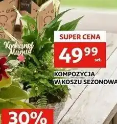 Auchan KOMPOZYCJA W KOSZU SEZONOWA oferta