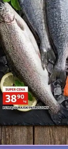 Auchan PSTRĄG JURAJSKI PATROSZONY oferta