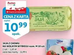 Auchan JAJA Z CHOWU NA WOLNYM WYBIEGU rozm. M 10 szt oferta
