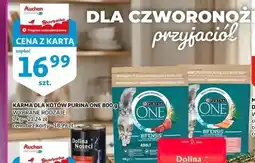 Auchan KARMA DLA KOTÓW PURINA ONE oferta
