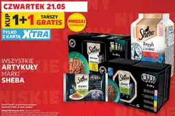 Kaufland WSZYSTKIE ARTYKUŁY MARKI SHEBA oferta