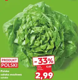 Kaufland Polska sałata masłowa oferta