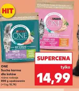 Kaufland ONE Sucha karma dla kotów różne rodzaje oferta