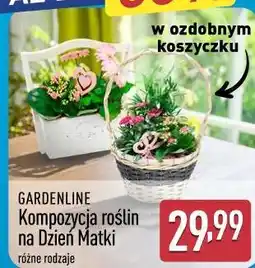 ALDI Kompozycja roślin na Dzień Matki oferta