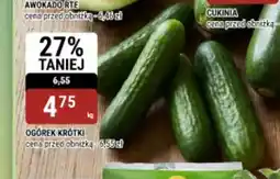bi1 Ogórek krótki oferta