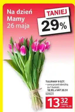 Selgros Tulipany 9-pak oferta