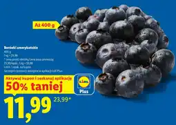 Lidl Borówki amerykańskie Plus-Plus oferta