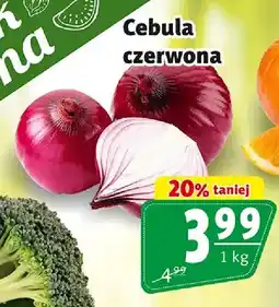 Prim Market Cebula czerwona oferta