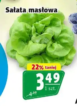 Prim Market Sałata masłowa oferta