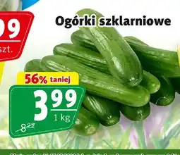 Prim Market Ogórki szklarniowe oferta