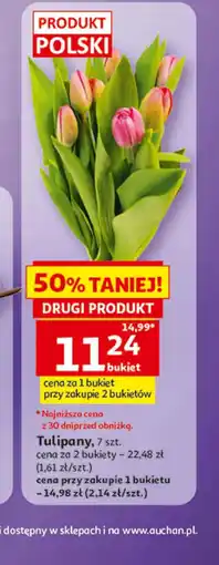 Auchan Bukiet tulipanów Tulipany oferta