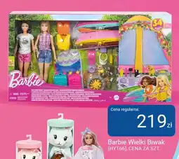 Smyk Zabawka Barbie Wielki Biwak (HYT66) oferta