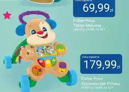 Smyk Szczeniaczek Pchacz Fisher Price (GXR71) oferta