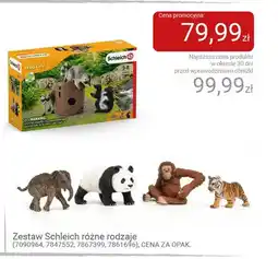 Smyk Zestaw Schleich (7090964) oferta