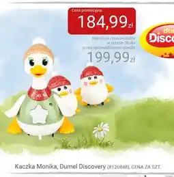 Smyk Kaczka Monika Dumel Discovery oferta