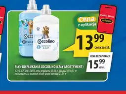 Arhelan Płyn do płukania Coccolino oferta