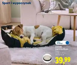 Lidl Legowisko dla psa Zoofari oferta