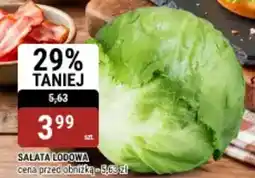 bi1 Salata lodowa oferta