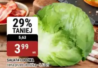 bi1 Salata lodowa oferta
